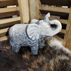 Olifant M