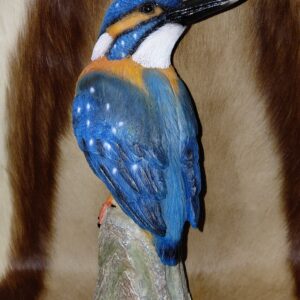 IJsvogel Polystone